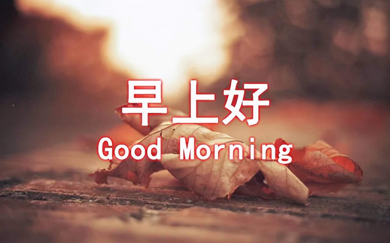 最新祝福遍，愿美好与你同在