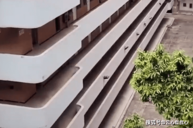 东莞裕元鞋厂最新动态揭秘