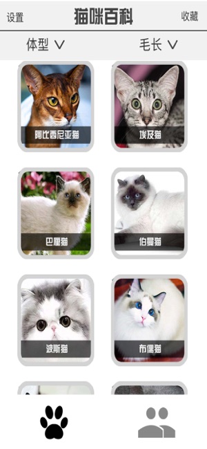 最新喵咪下载，智能科技引领未来，前所未有的智能生活体验