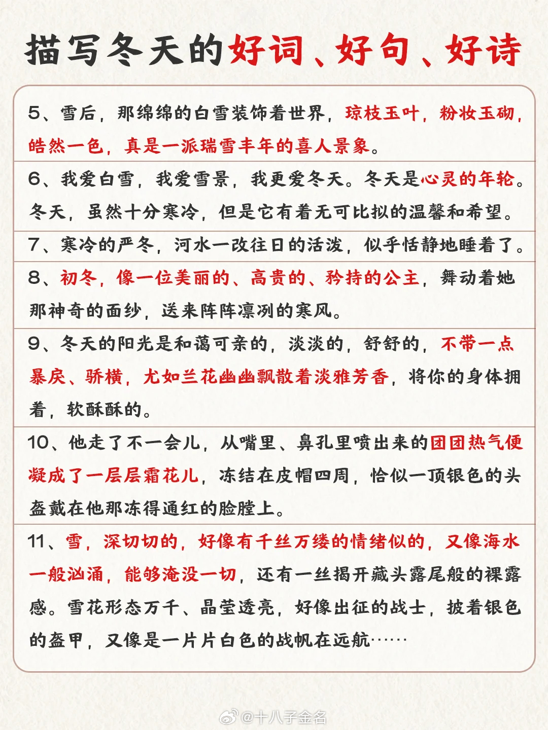 深入探究某某观点，最新文笔展现的魅力与深度解析