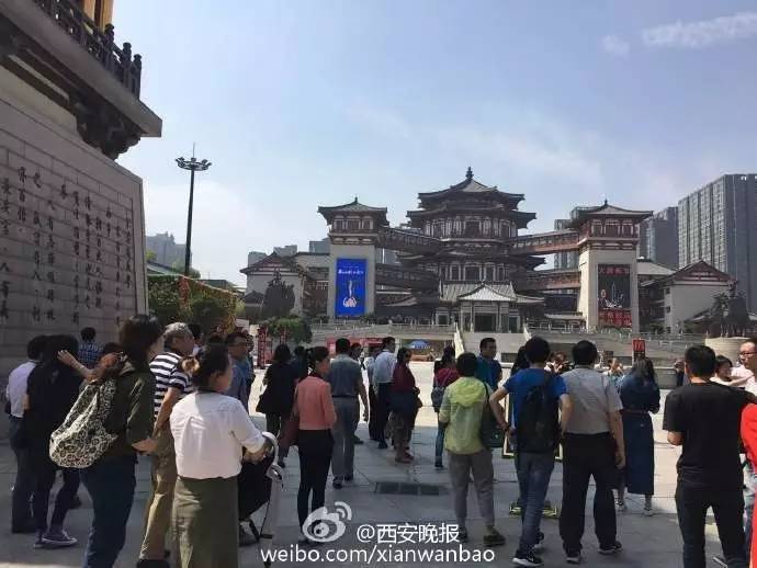 大唐西市最新动态，自然美景探寻之旅