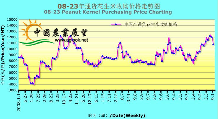 全国花生米最新价格走势，探索小巷美食与价格动态之旅