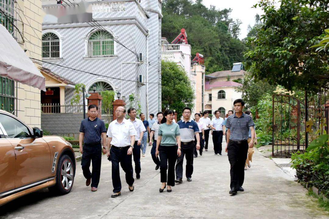 定南徐美清最新动态，自然美景探索之旅，寻找内心平和与喜悦的旅程