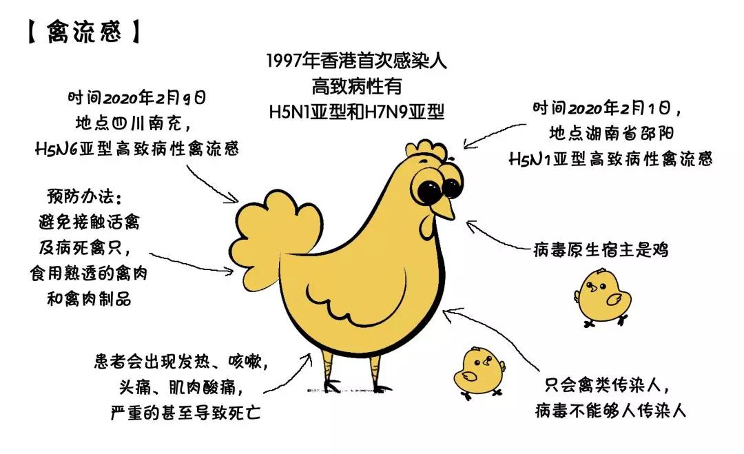 猪禽流感最新消息，2025年动态报告